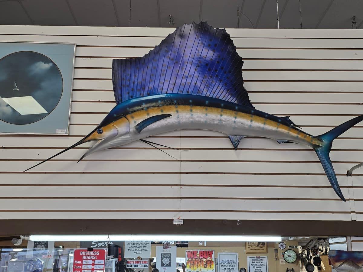 Large Sailfish Wall Mount Replica - Blue/Yellow Game Fish Display